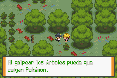 Joven del Encinar que entrega la MT02 Golpe Cabeza